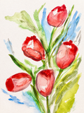 The First Tulips